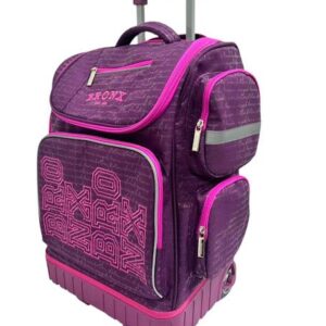 Bronx Schoolbus Nyc Purple